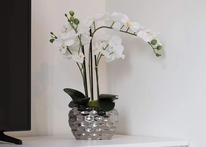 Affittacamere Executive Double With En-suite In Rue Trevires R3 Lussemburgo